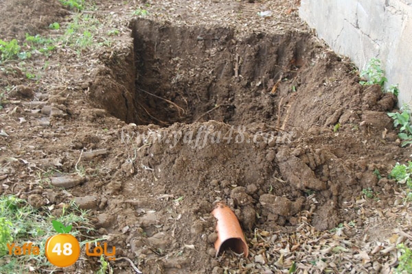 modahama lud 0216 (21).JPG